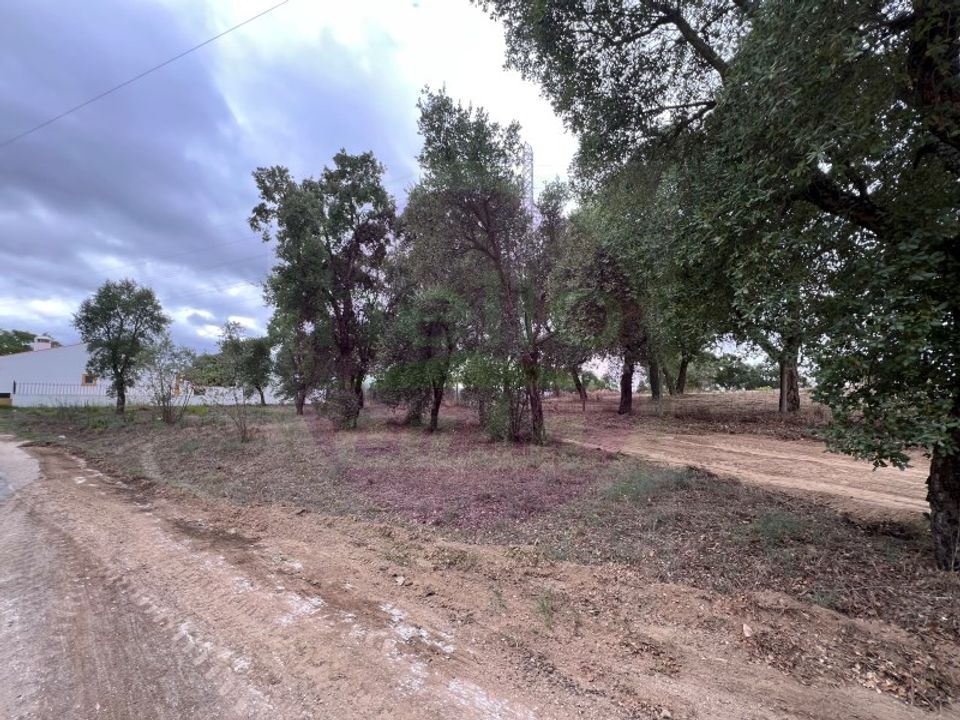 Helårsgrund i Tomar, Santarem - foto 5