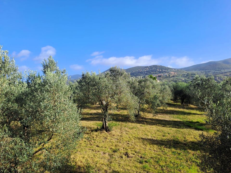 Villa i Alviano, Terni - foto 5
