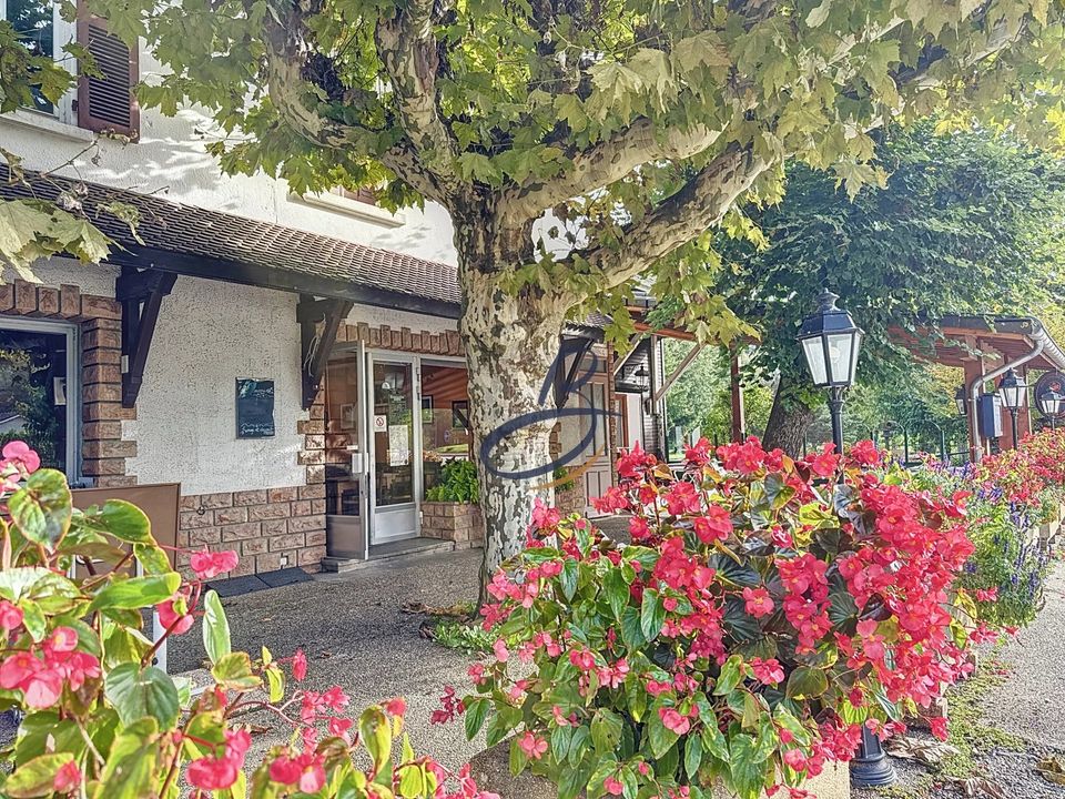Erhvervsejendom i Bourgoin-Jallieu, Isere - foto 4