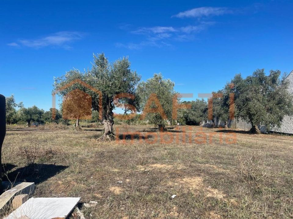 Helårsgrund i Tomar, Santarem - foto 4