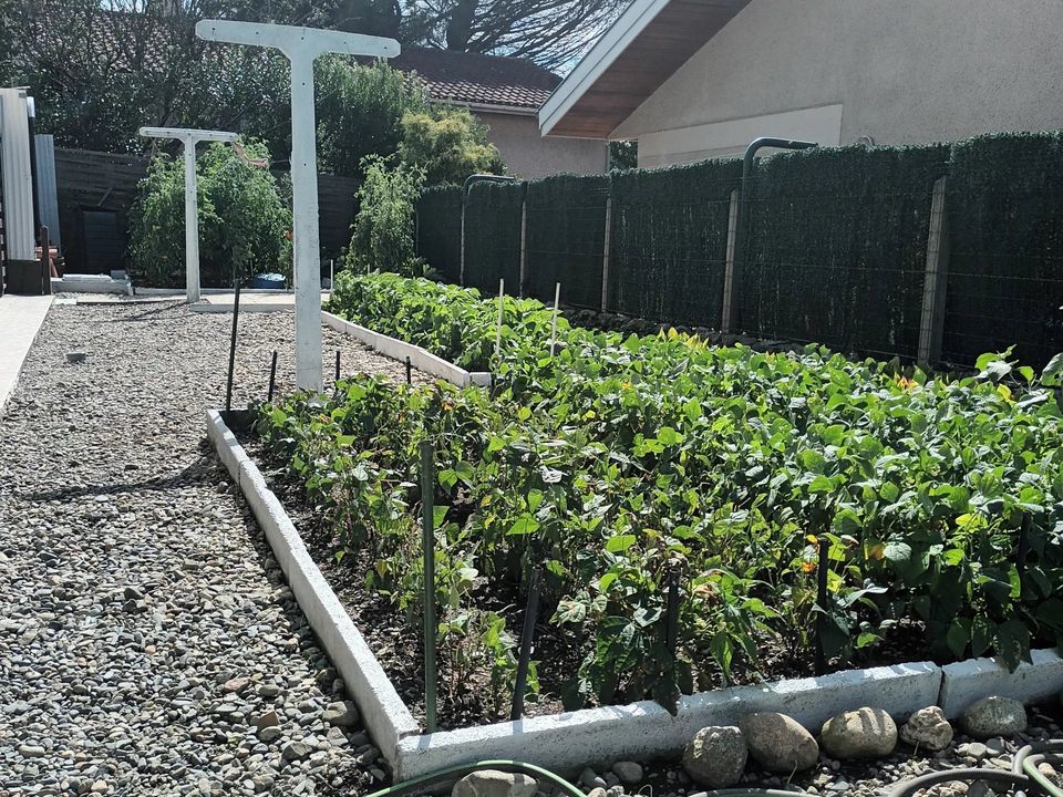 Villa i Tarbes, Hautes-Pyrenees - foto 2
