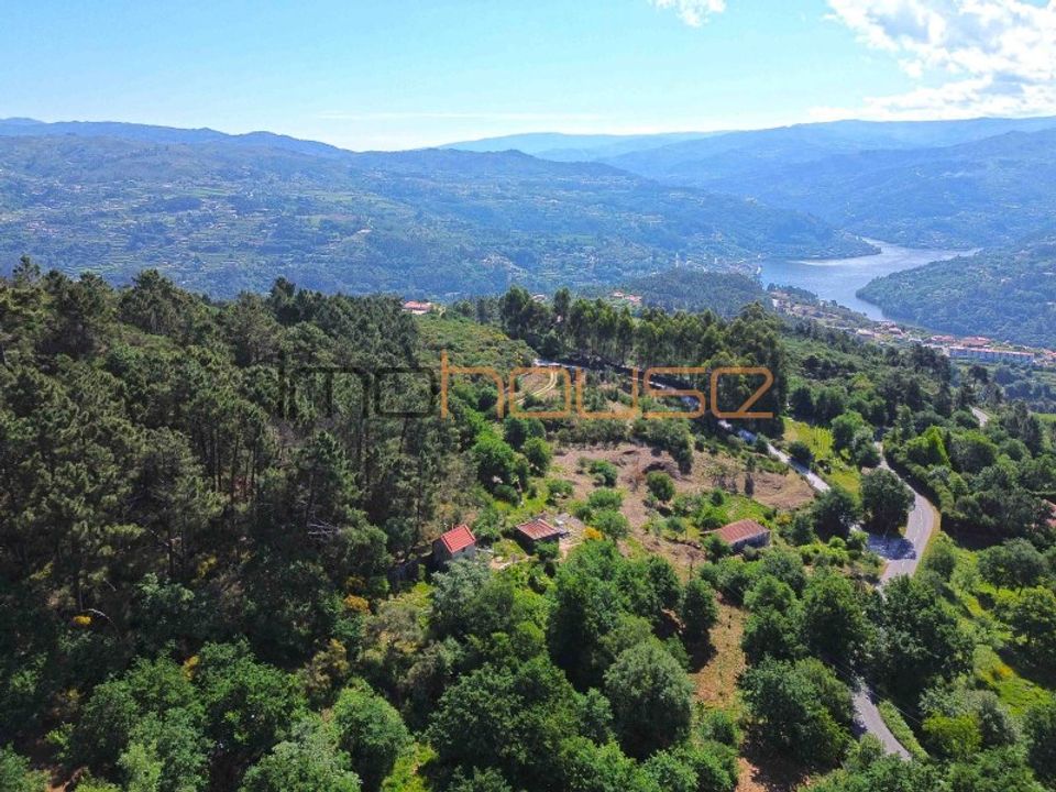 Farm i Penhalonga e Pacos de Gaiolo, Porto - foto 3