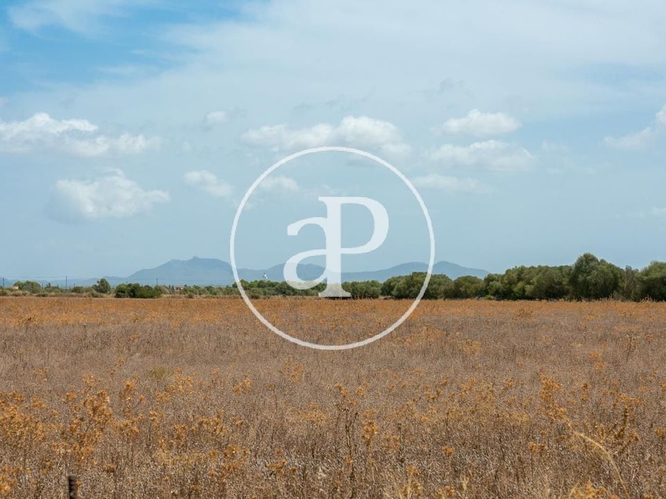 Terra a Campos, Mallorca - foto 4