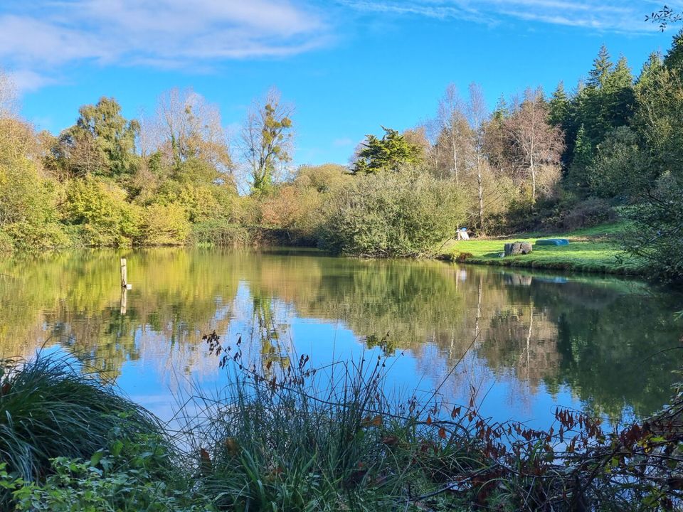 Villa i Meneac, Morbihan - foto 1