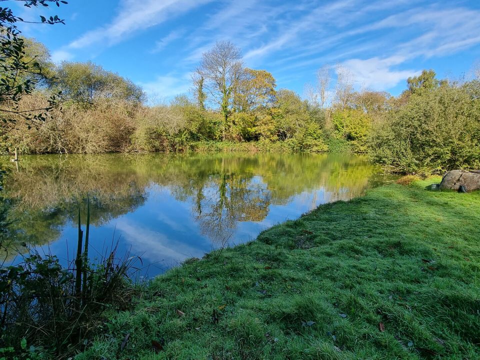 Villa i Meneac, Morbihan - foto 4