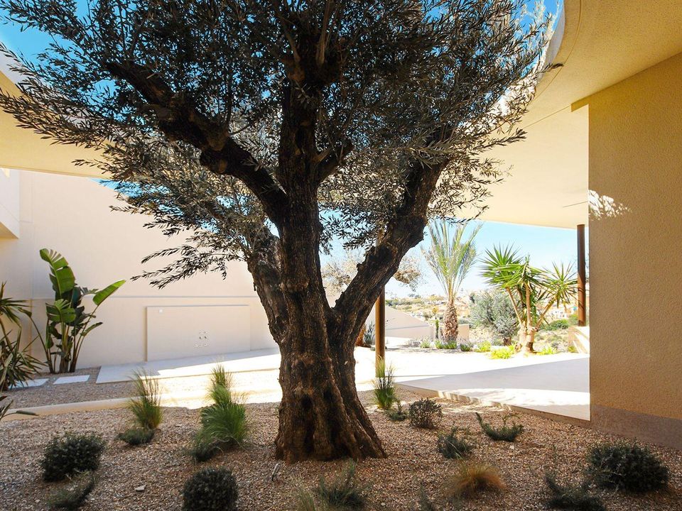 Villa i San Fulgencio, Alicante - foto 4
