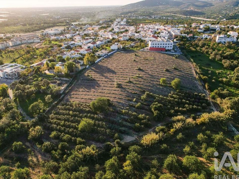 Helårsgrund i Faro, Faro - foto 3