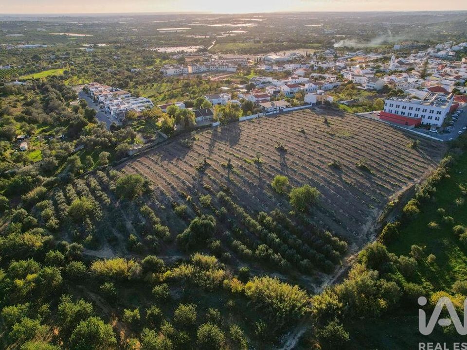 Helårsgrund i Faro, Faro - foto 5