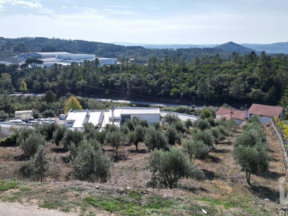 Helårsgrund i Penela, Coimbra - foto 5