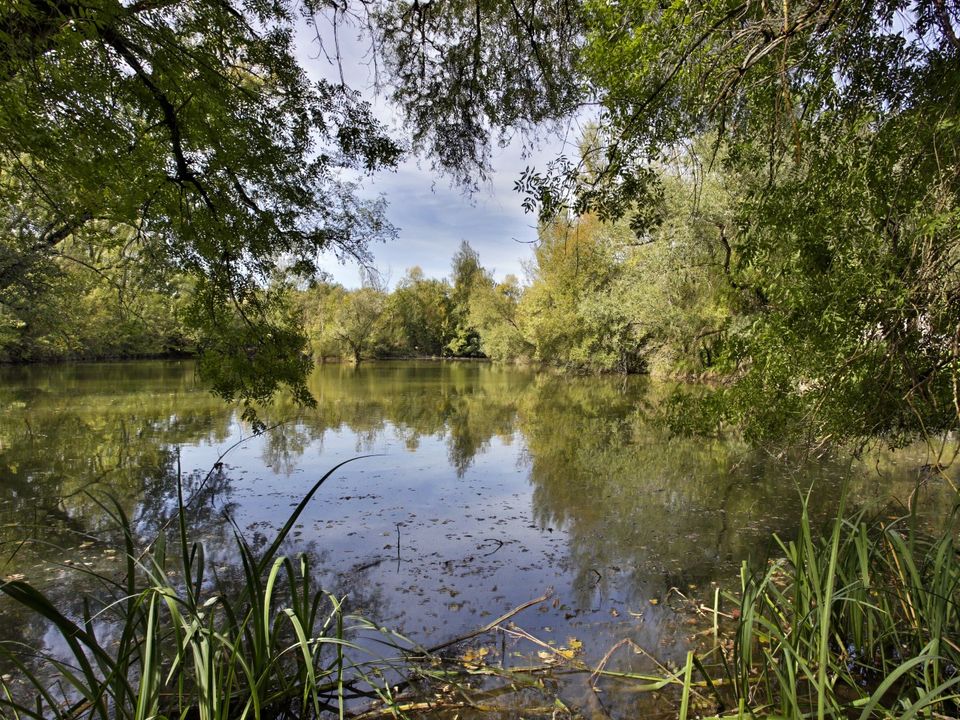 Villa i Vic-Fezensac, Gers - foto 4