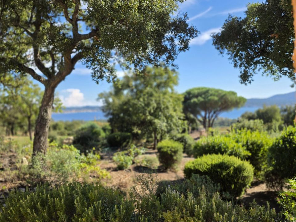 Villa i Grimaud, Var - foto 4