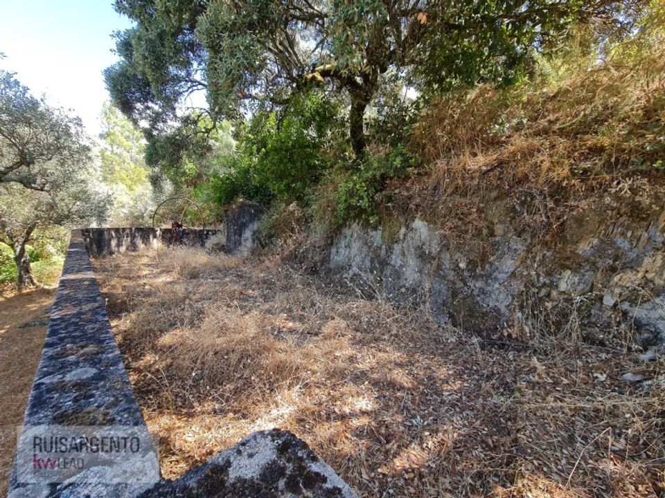 Villa i Castelo Branco, Castelo Branco - foto 3