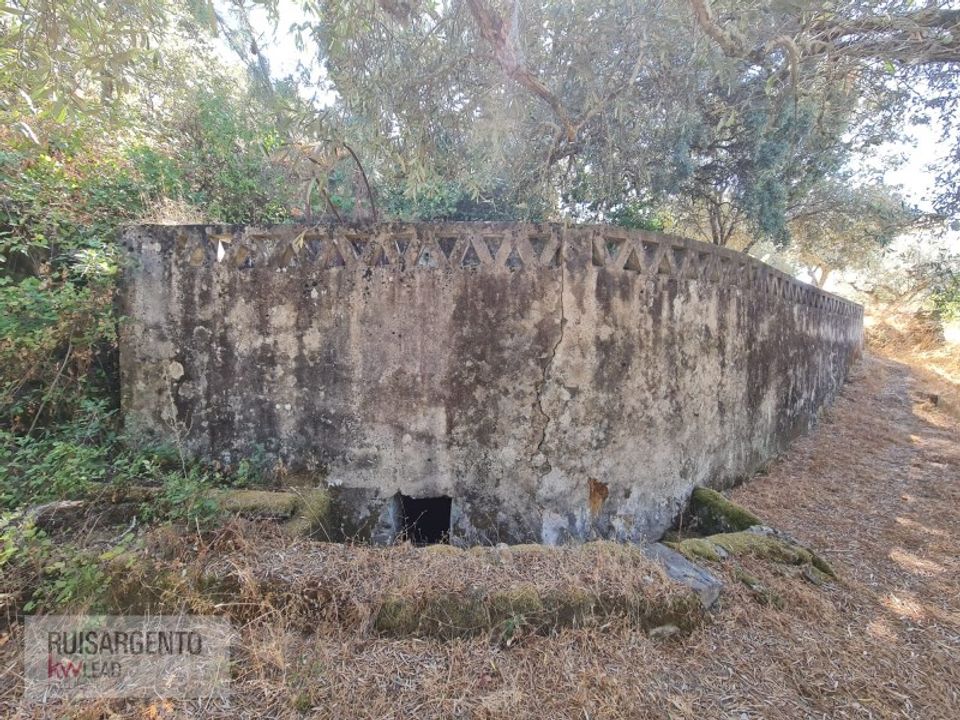 Villa i Castelo Branco, Castelo Branco - foto 5
