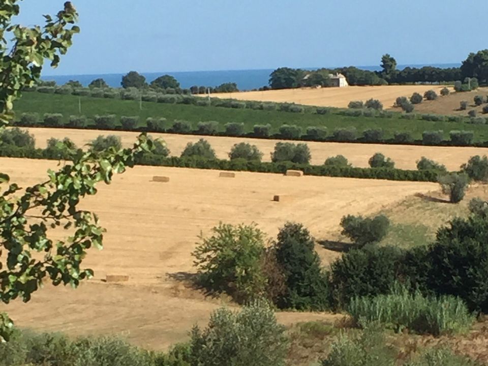 Erhvervsejendom i Colonnella, Teramo - foto 5