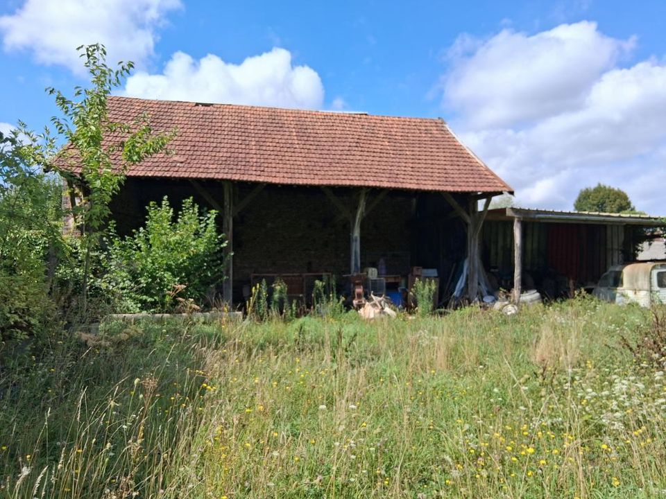 Farm i Vaudeurs, Yonne - foto 5