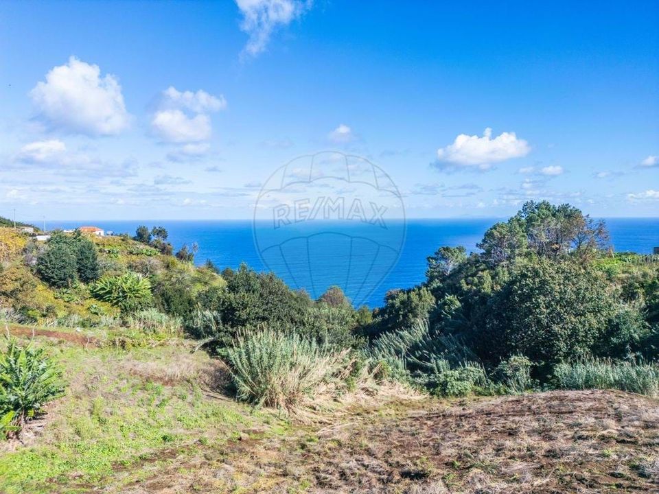 Helårsgrund i Santana, Madeira - foto 3