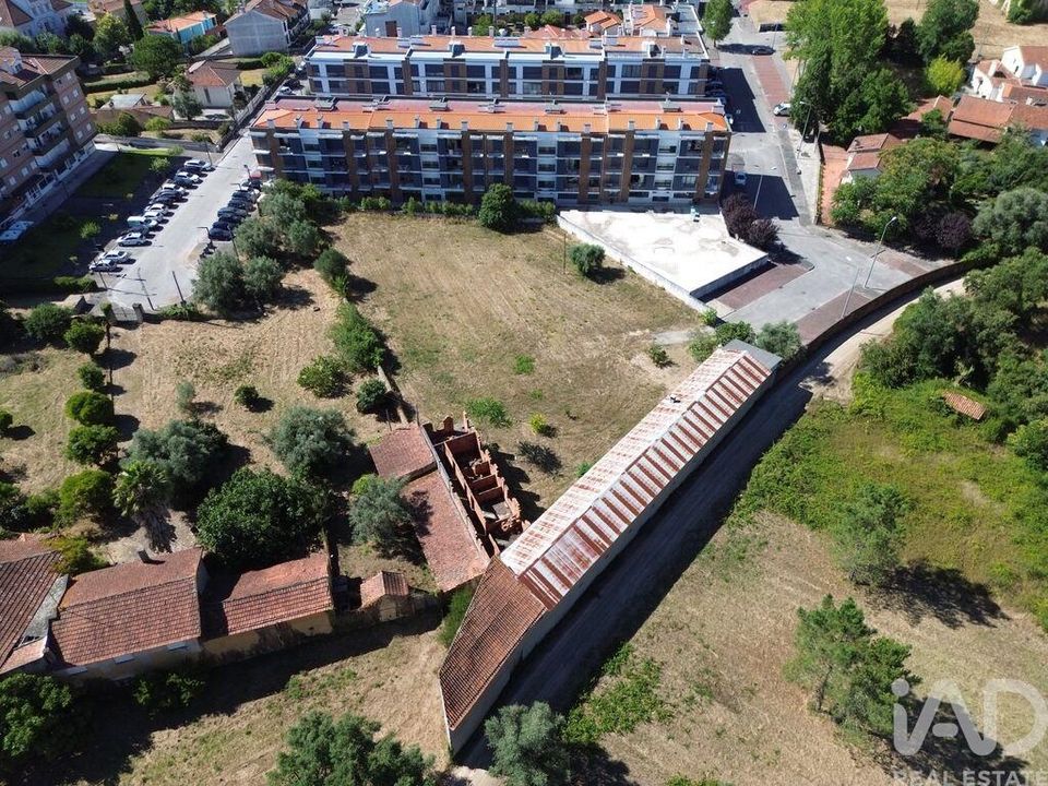 Helårsgrund i Anadia, Aveiro - foto 3