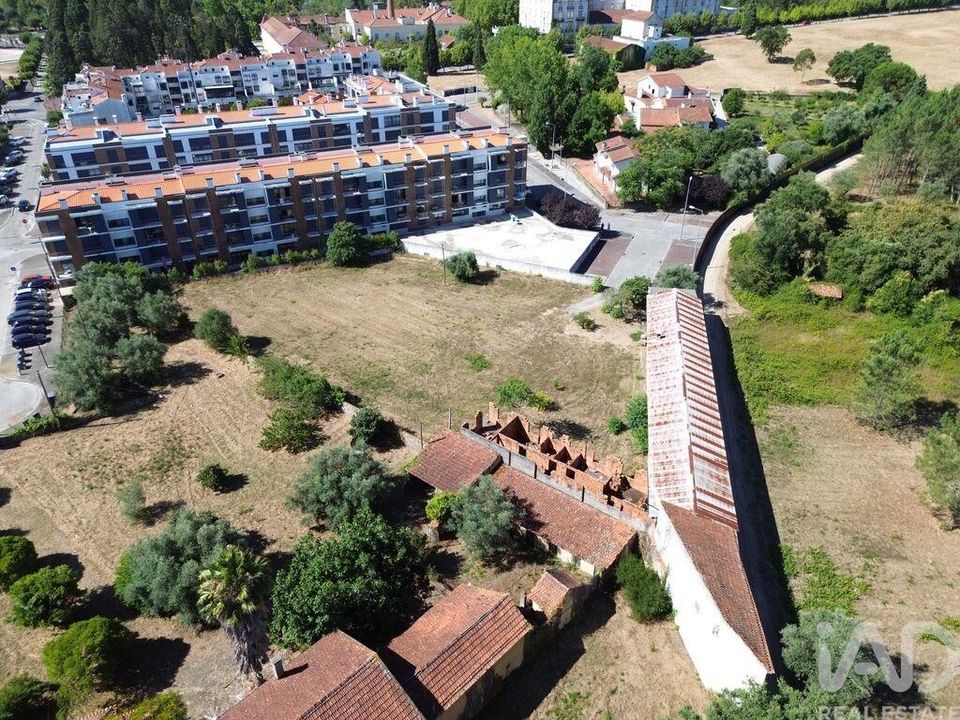 Helårsgrund i Anadia, Aveiro - foto 5