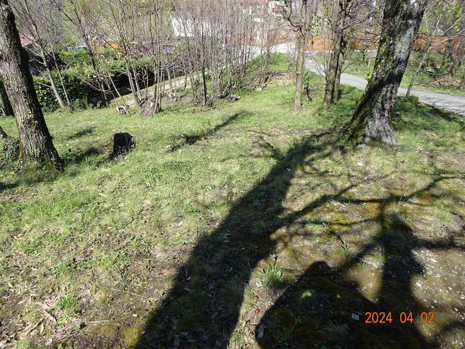 Helårsgrund i Ello, Lecco - foto 3