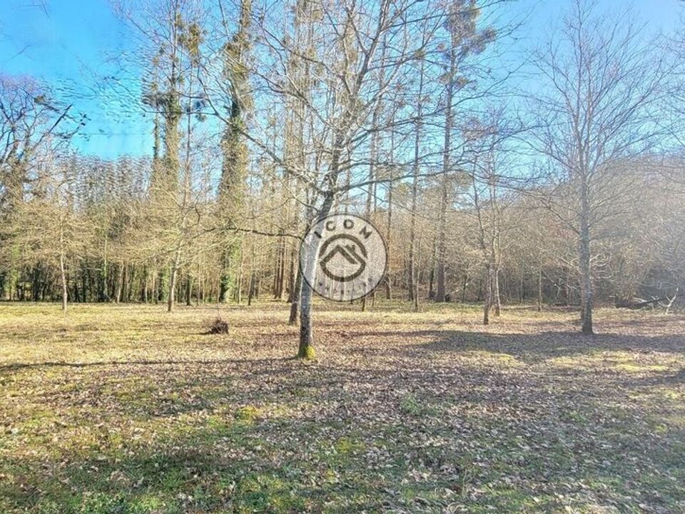 Helårsgrund i Carcares-Sainte-Croix, Landes - foto 5