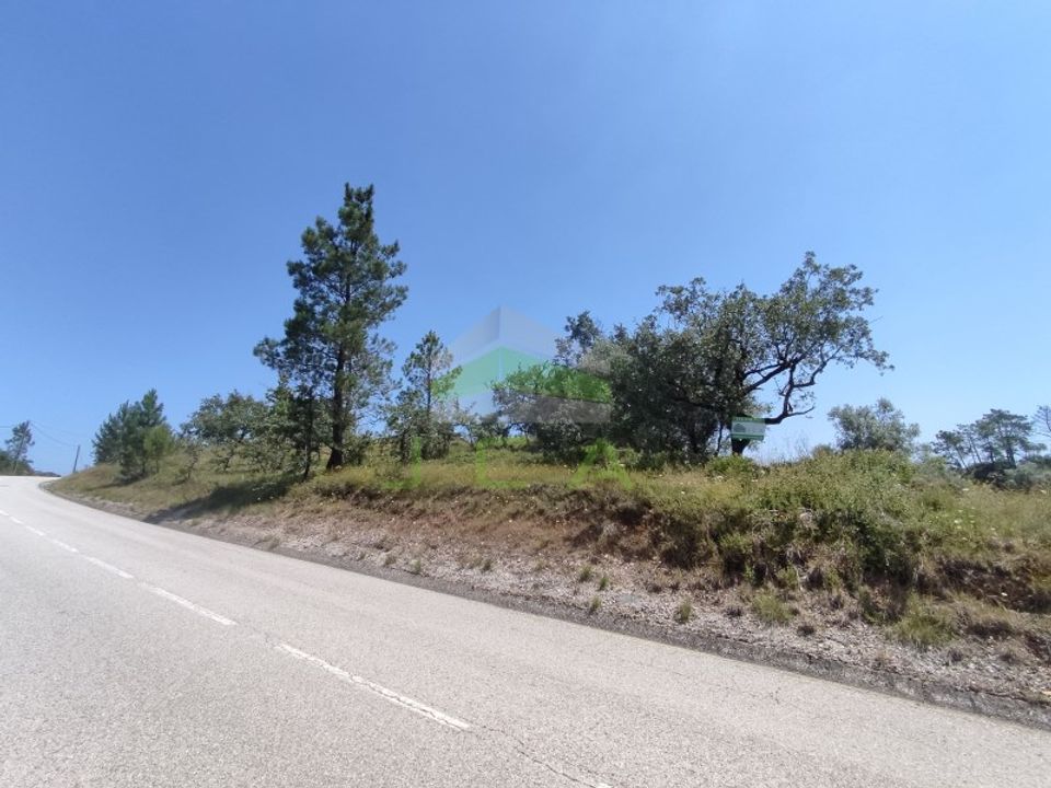 Helårsgrund i Pombal, Leiria - foto 1