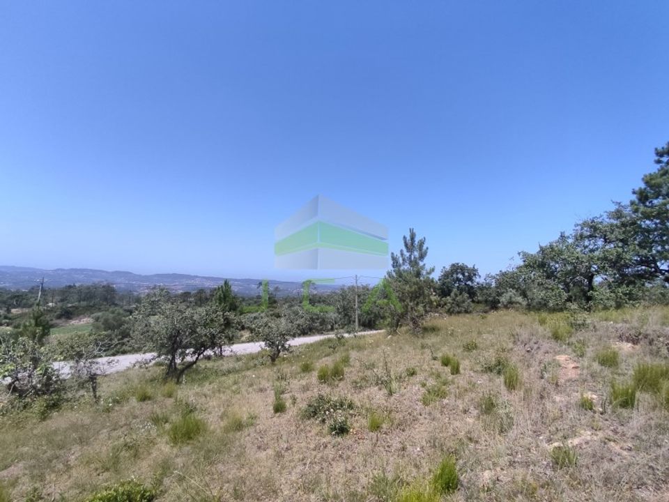 Helårsgrund i Pombal, Leiria - foto 5