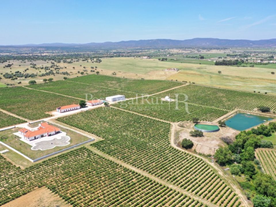 Landejendom i Redondo, Evora - foto 1