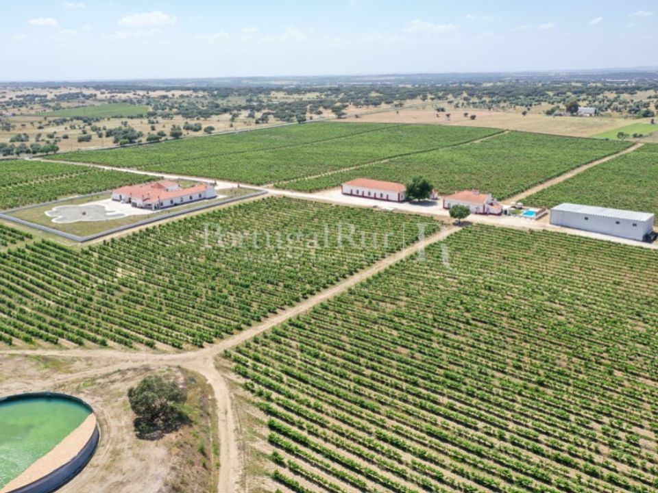 Landejendom i Redondo, Evora - foto 5