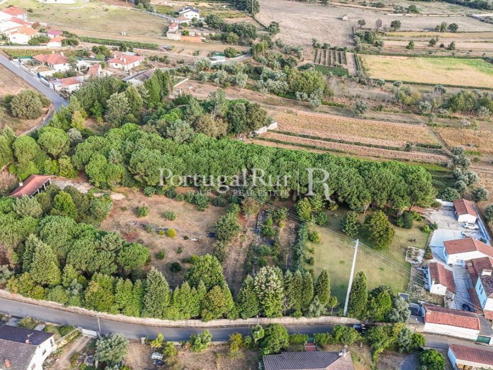 Farm i Agueda, Aveiro - foto 3