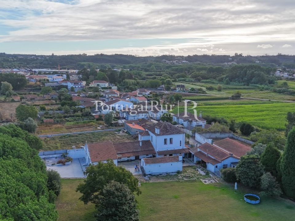 Farm i Agueda, Aveiro - foto 4