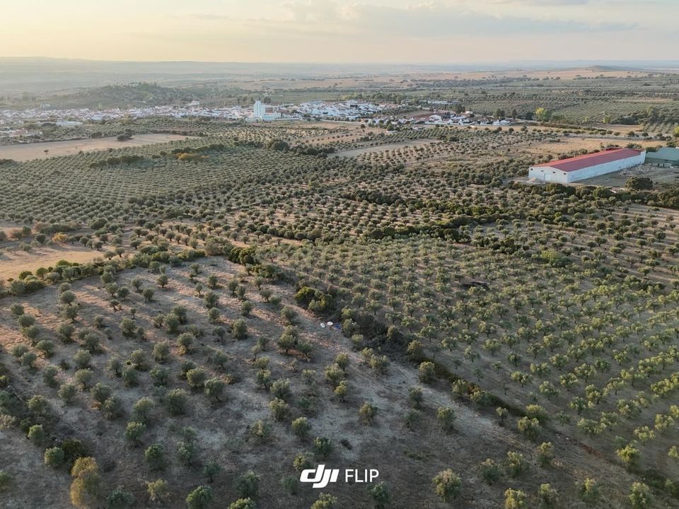 Helårsgrund i Terrugem e Vila Boim, Portalegre - foto 1