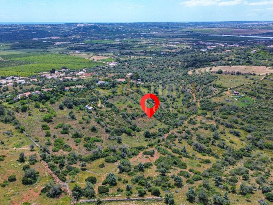 Helårsgrund i Silves, Faro - foto 3