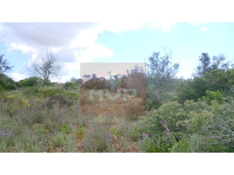 Helårsgrund i Quelfes, Faro - foto 2