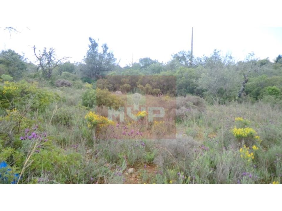 Helårsgrund i Quelfes, Faro - foto 5