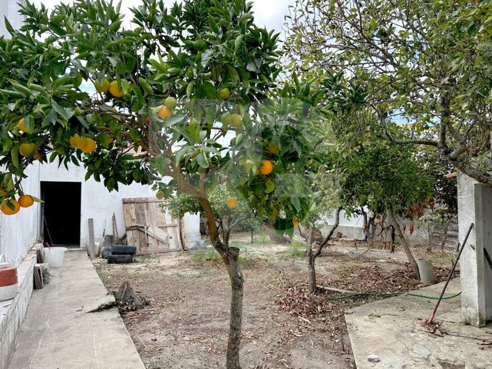 Helårsgrund i Quinta do Anjo, Setubal - foto 5