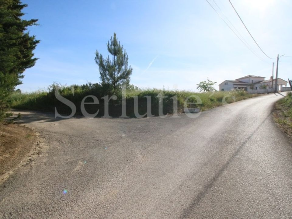 Tomt i Cartaxo, Santarem - bilde 1