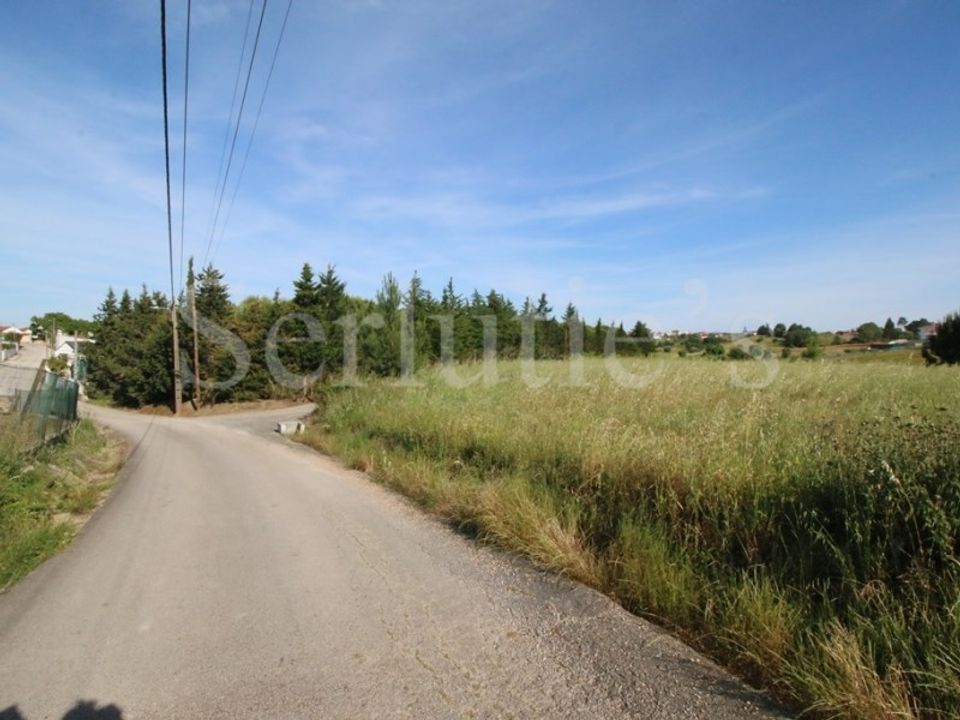 Tomt i Cartaxo, Santarem - bilde 2