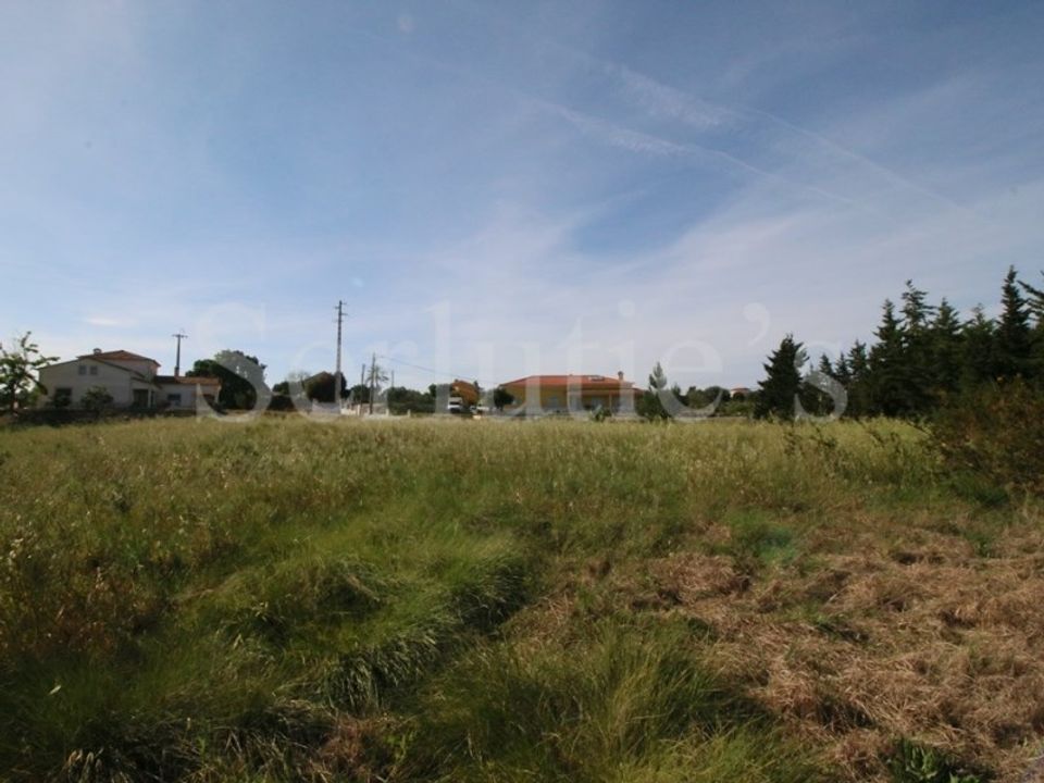 Tomt i Cartaxo, Santarem - bilde 4