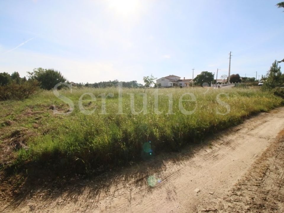 Tomt i Cartaxo, Santarem - bilde 5