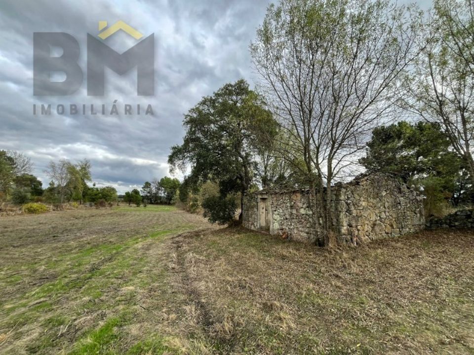 Farm i Castelo Branco, Castelo Branco - foto 2