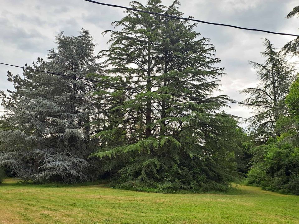 Villa i Laroque-Timbaut, Lot-et-Garonne - foto 4