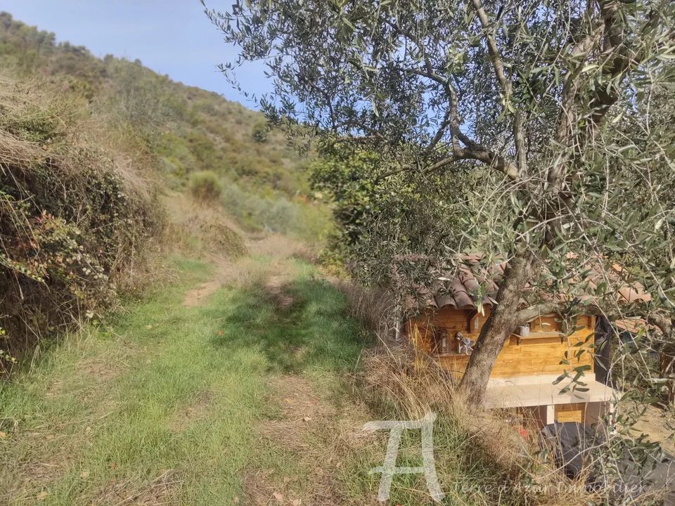 Lejlighed i Sospel, Alpes-Maritimes - foto 4