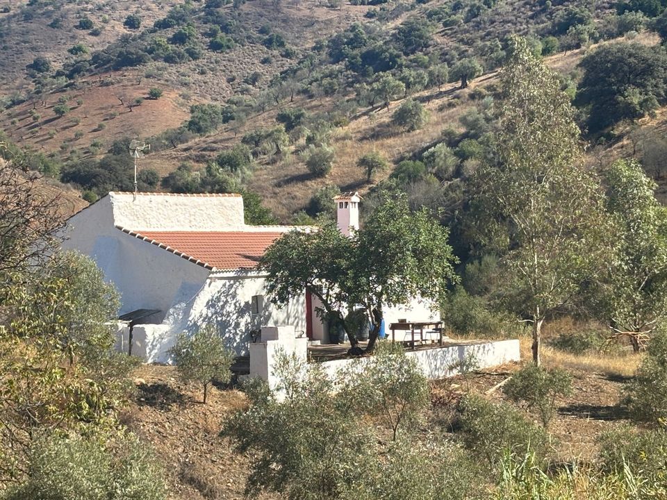 Landejendom i Almogia, Malaga - foto 1