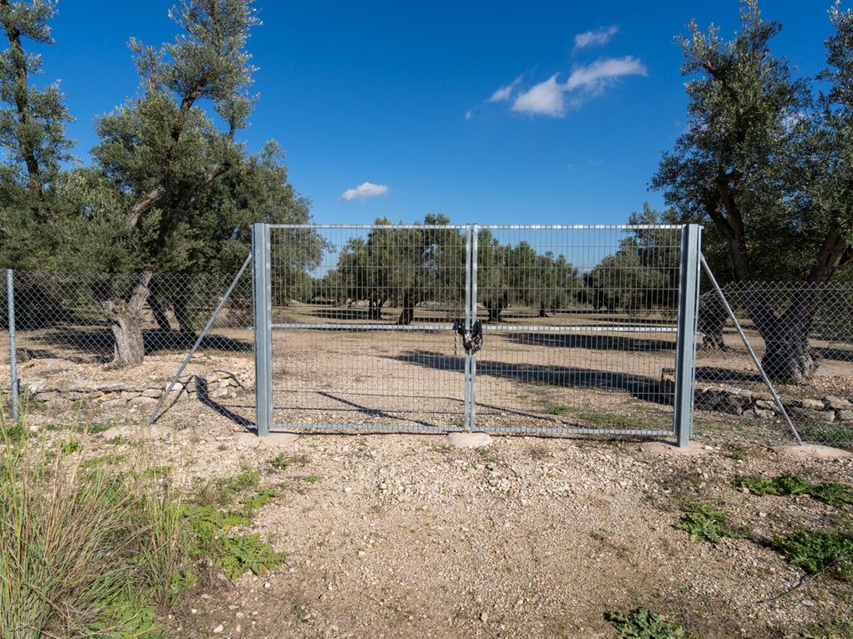 Finca a Roquetes, Tarragona - foto 5