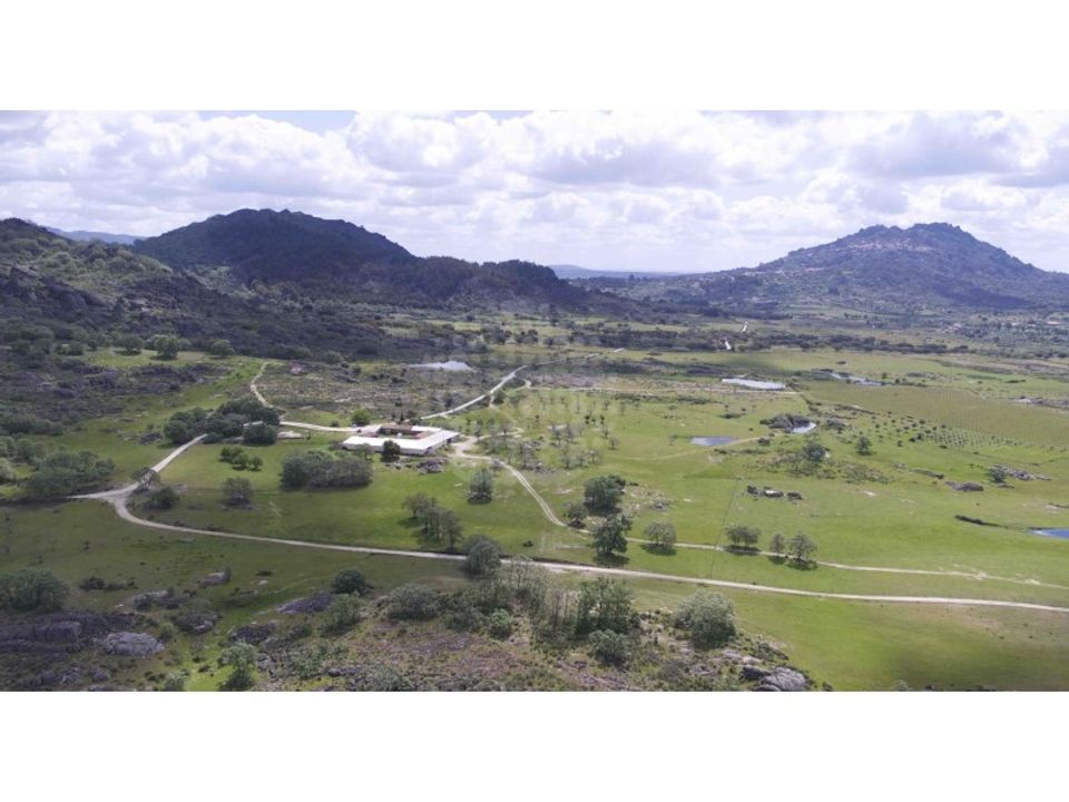Farm i Monsanto e Idanha-a-Velha, Castelo Branco - foto 2