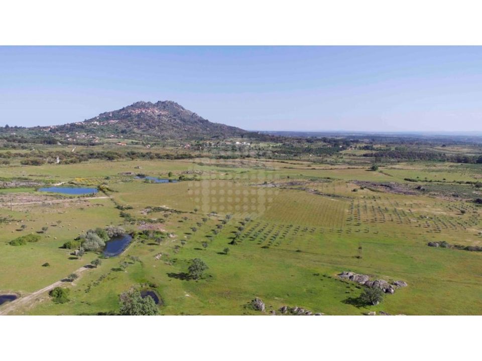 Farm i Monsanto e Idanha-a-Velha, Castelo Branco - foto 3