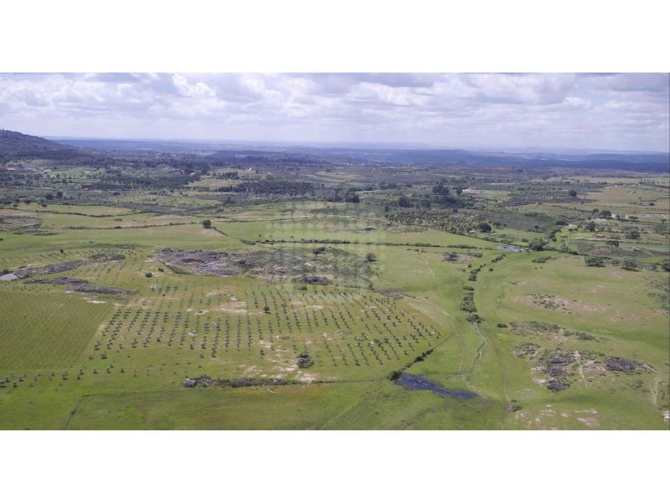 Farm i Monsanto e Idanha-a-Velha, Castelo Branco - foto 4