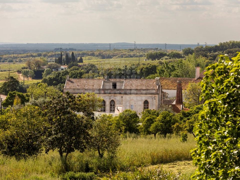 Farm i Estremoz, Evora - foto 1
