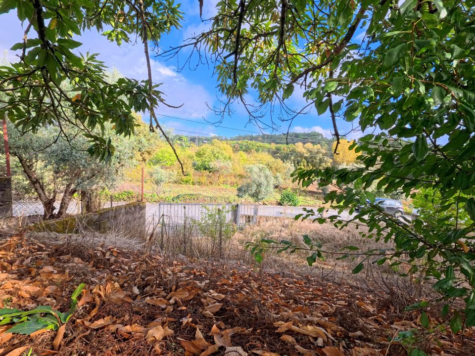 Villa i Viseu, Viseu - foto 5