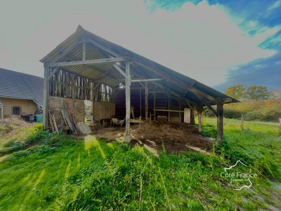 Farm i Tannerre-en-Puisaye, Yonne - foto 4